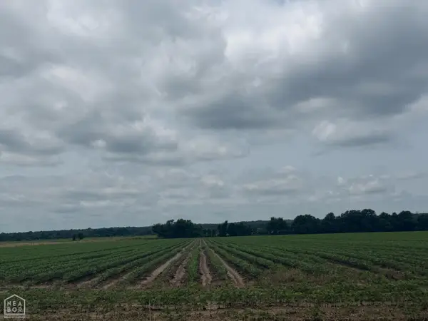 78 Pineview Rd/benson Ln #Acres, Trumann, AR 72472