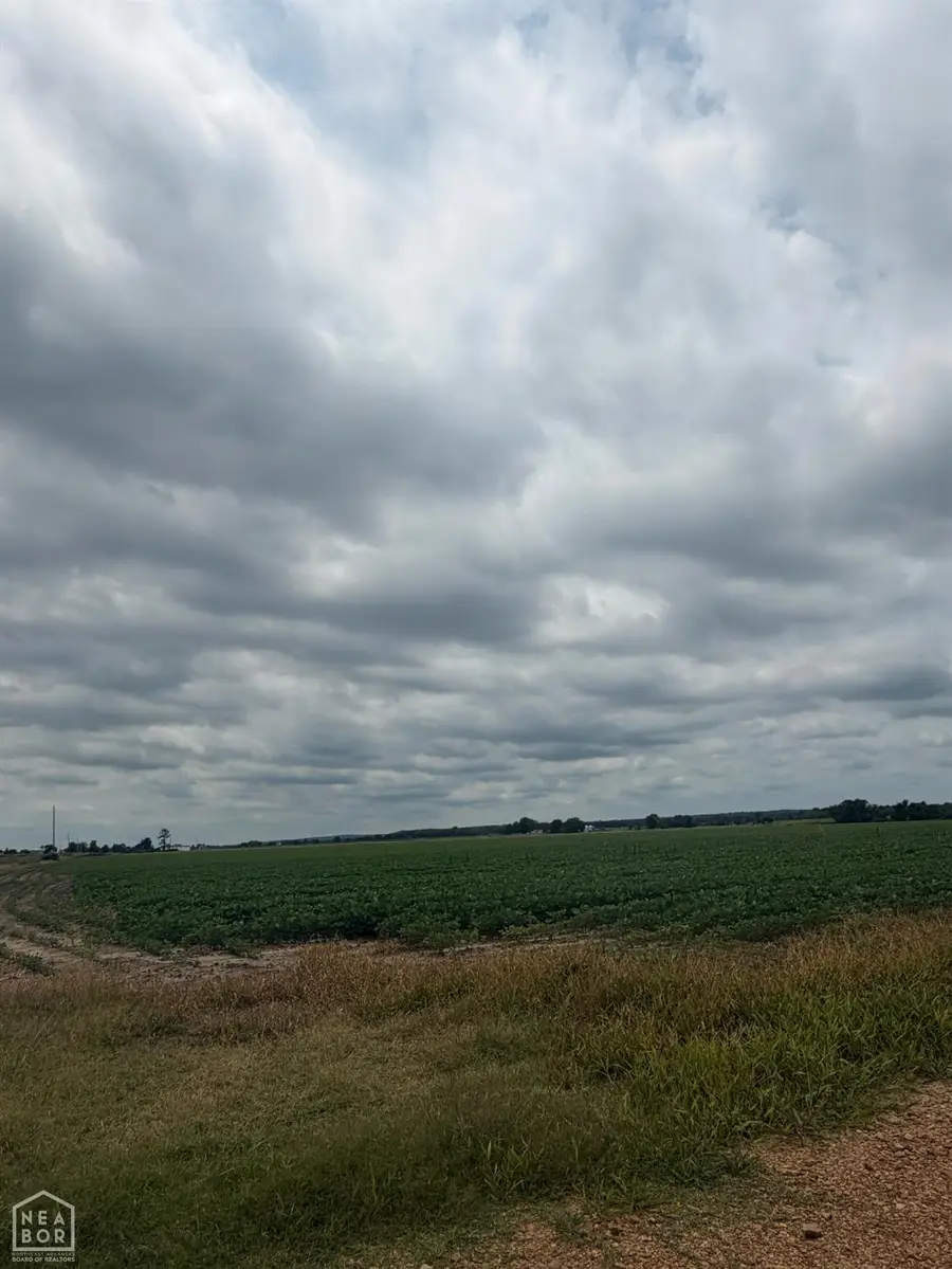 78 Pineview Rd/benson Ln #Acres, Trumann, AR 72472 - #3