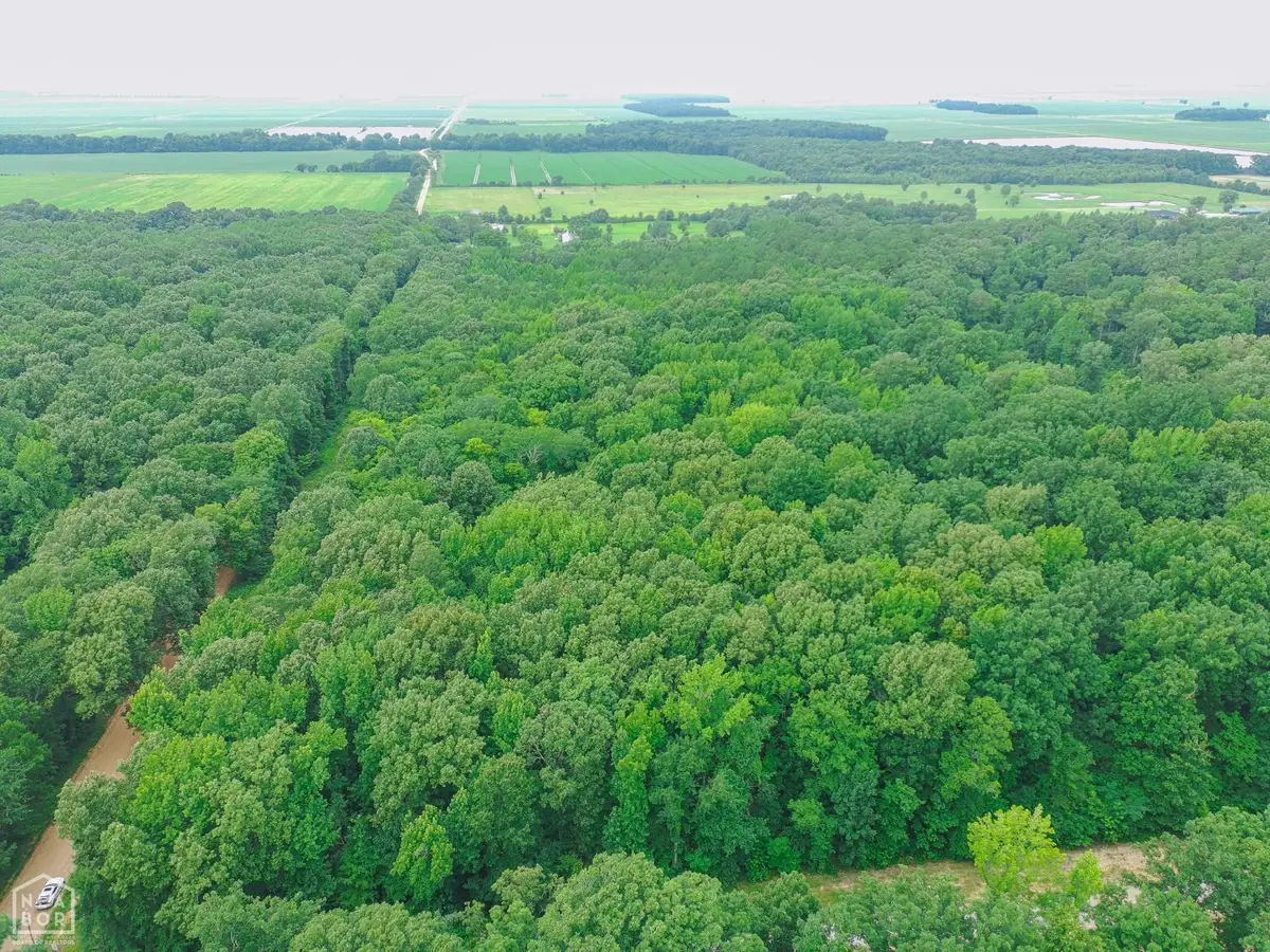 1 County Road 160, Jonesboro, AR 72404 - #1