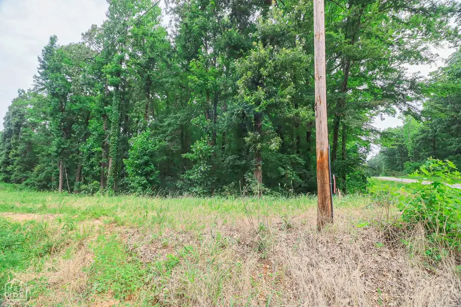 1 County Road 160, Jonesboro, AR 72404 - #2