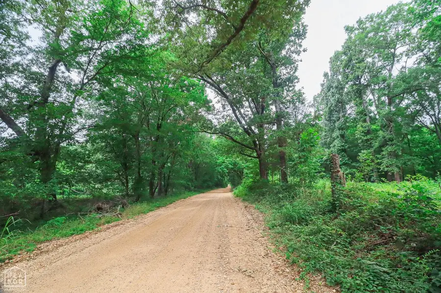 3 County Road 160, Jonesboro, AR 72404 - #3