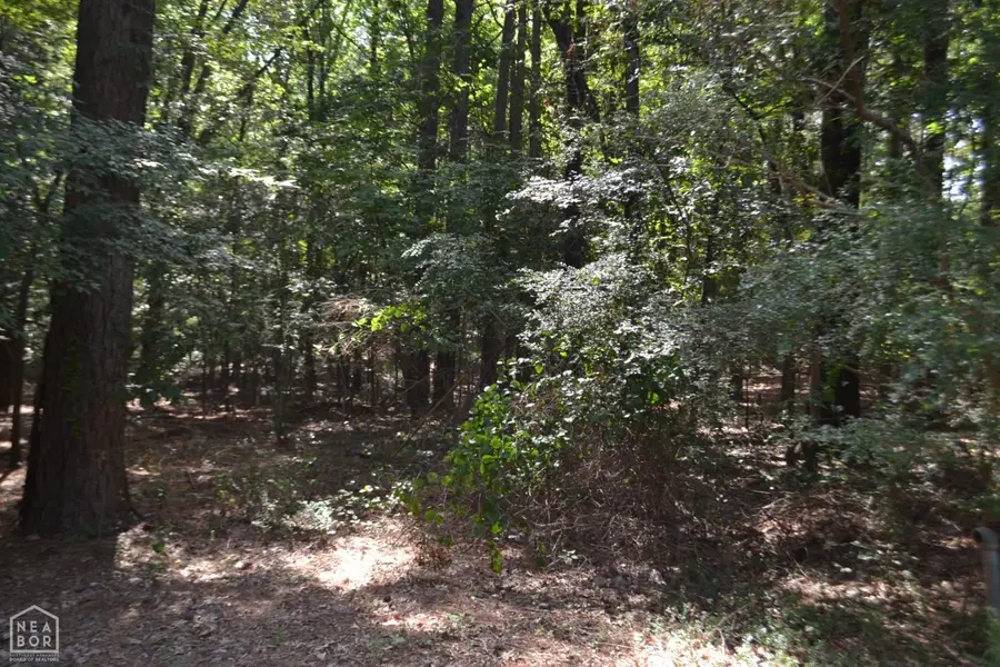 1 Pearl Drive, Jonesboro, AR 72405 - #2