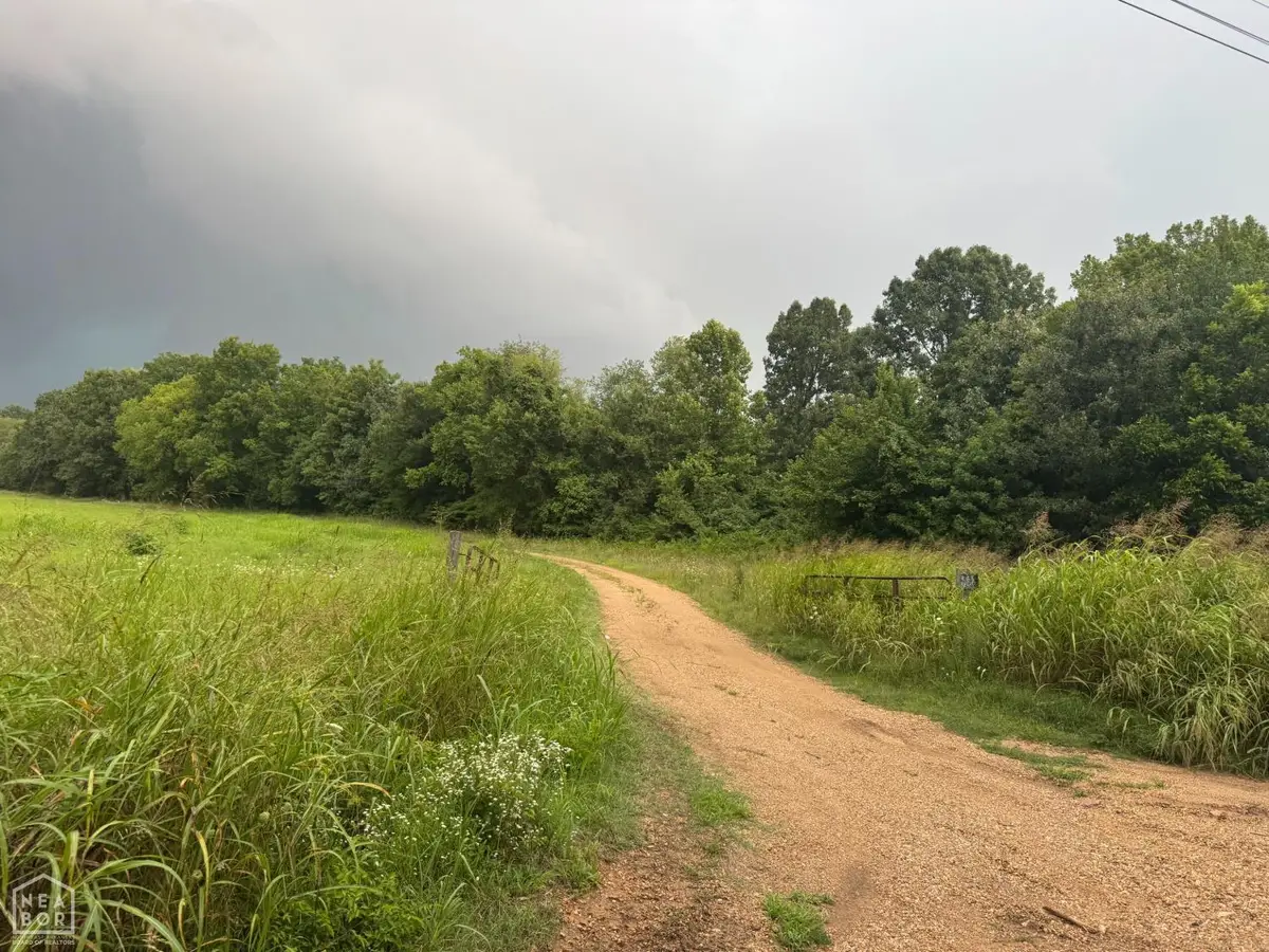 0 County Road 352 #00, Piggott, AR 72454 - #1