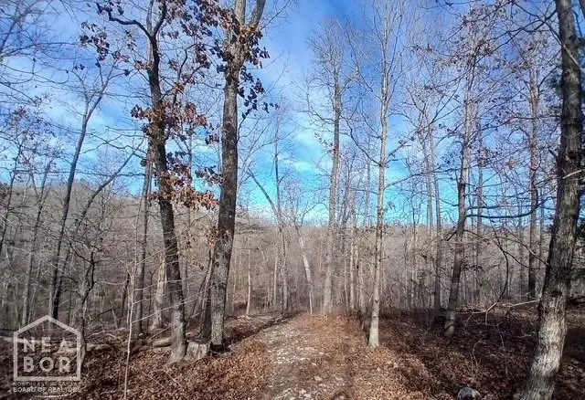 1 E Wirth Rd #Tract, Ravenden, AR 72459 - #1