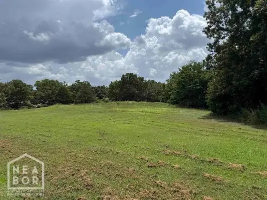 159 Alma Drive, Highland, AR 72542 - #1