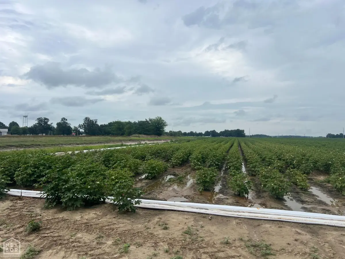 1 Cr 312, McDougal, AR 72441 - #1
