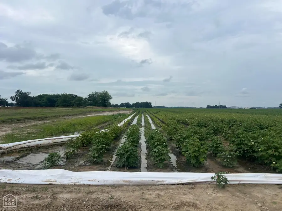 1 Cr 312, McDougal, AR 72441 - #2