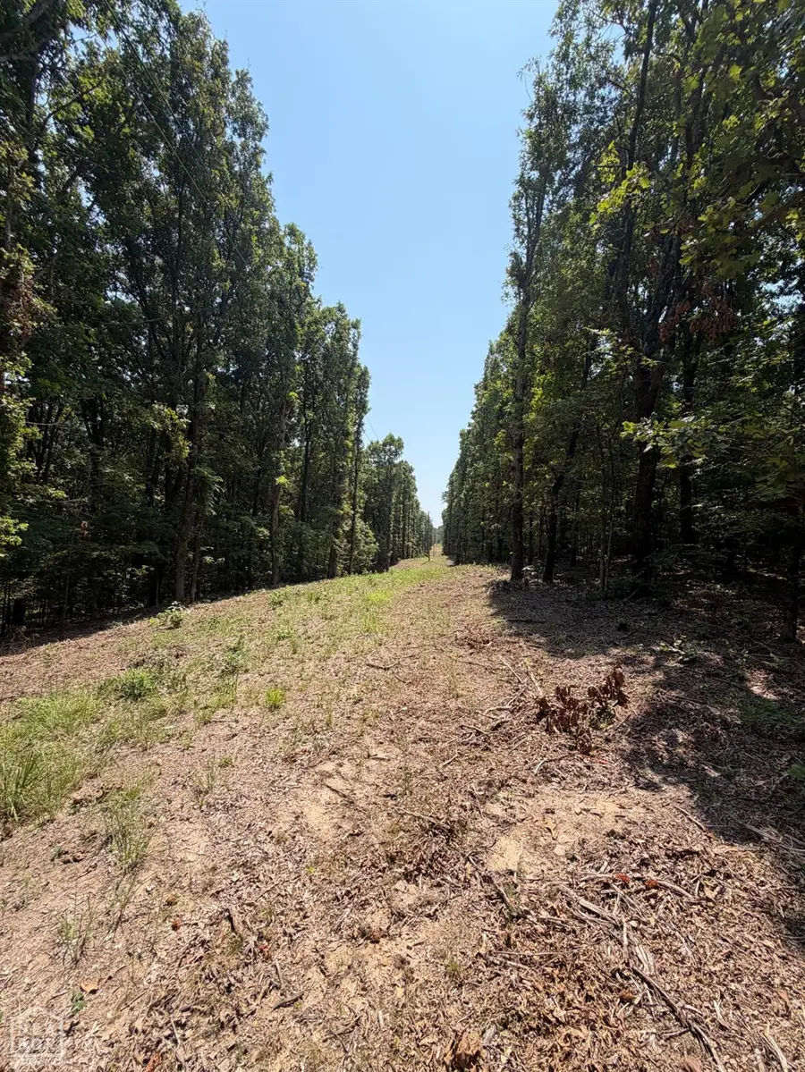 13250 Old Military Lane, Harrisburg, AR 72432 - #3