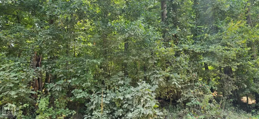 27 Cr 724, Wynne, AR 72396 - #3