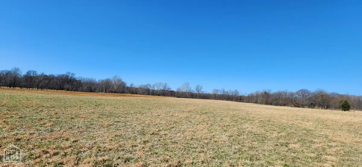 38 Strawfloor, Jonesboro, AR 72404 - #1