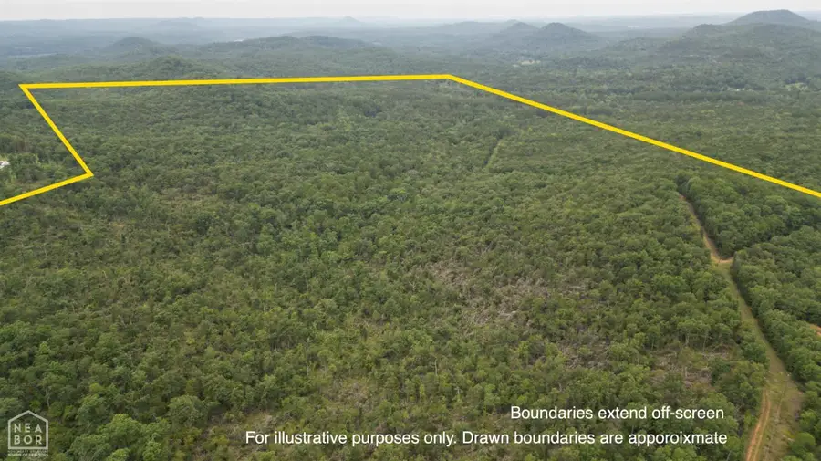 238 Jumbo Rd #Acres, Melbourne, AR 72556 - #2