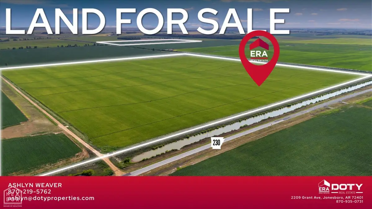 586 Acres Cr 153, Bono, AR 72416 - #1