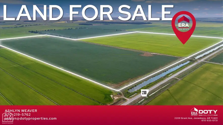 586 Acres Cr 153, Bono, AR 72416 - #2
