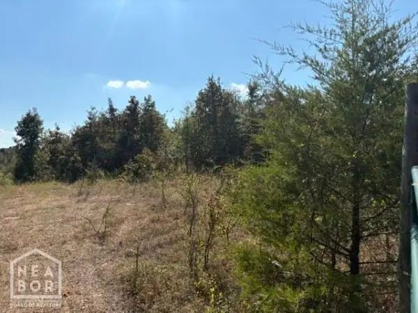 9999 Herron, Ash Flat, AR 72513 - #3