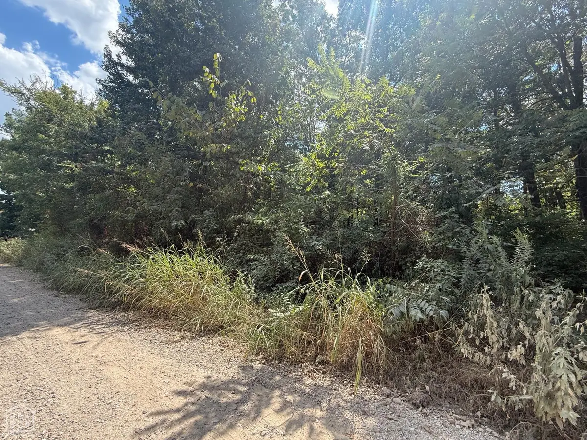 1 Acre County Road 320, Bono, AR 72416 - #1