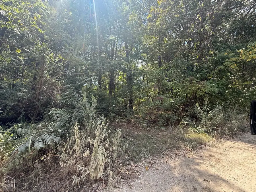 2 County Road 320, Bono, AR 72416 - #2