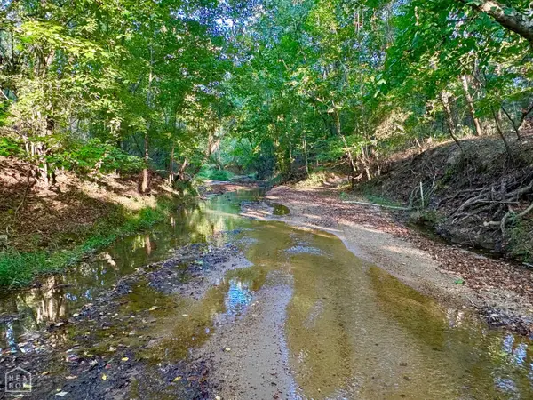 0 Highway 141 #00, Paragould, AR 72450