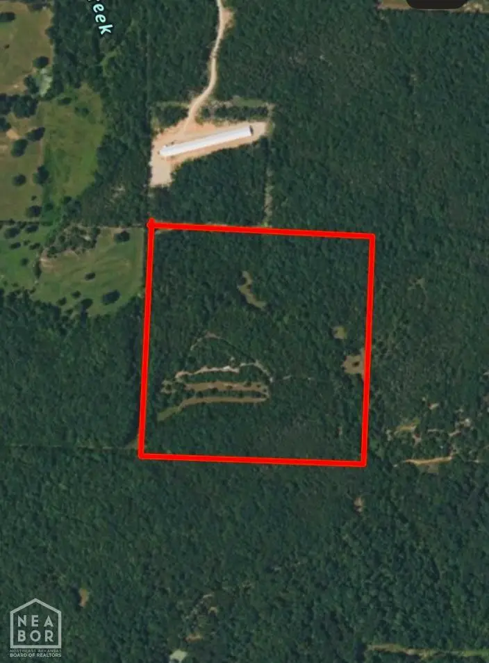 40 Squirrel, Imboden, AR 72434 - #2