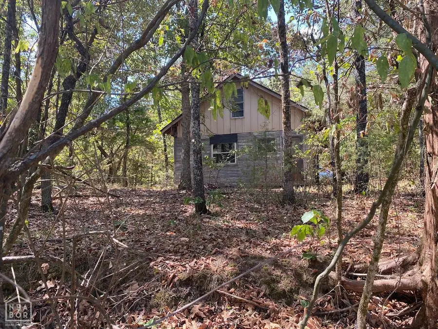 40 Squirrel, Imboden, AR 72434 - #3