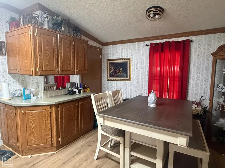 184 Lee Street, Paragould, AR 72450 - #3