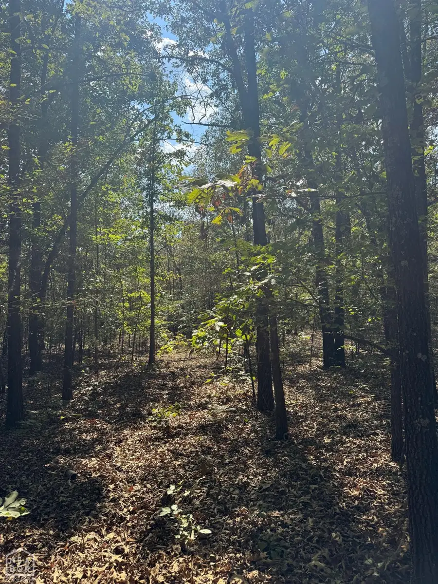5349 Oak Ridge Road, Janes Creek, AR 72460 - #2