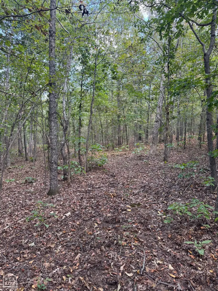5349 Oak Ridge Road, Janes Creek, AR 72460 - #3