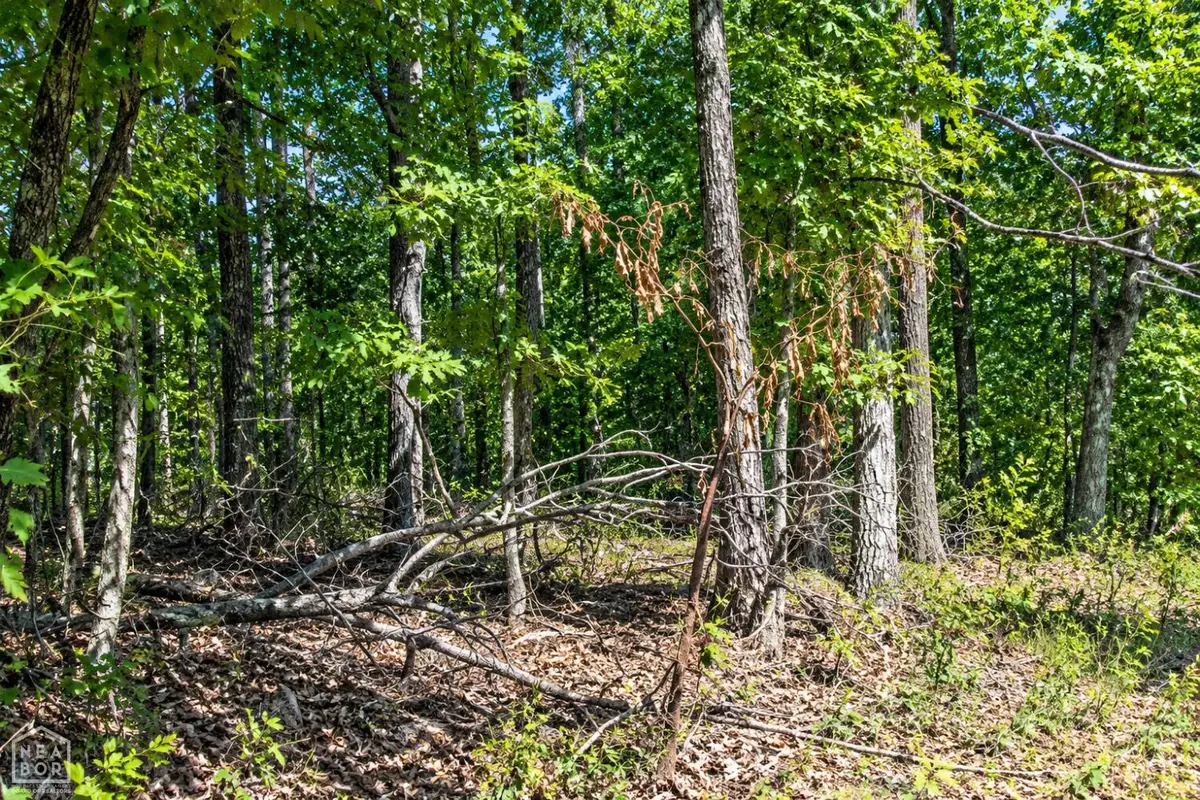 21 Cooper Point, Mountain View, AR 72560 - #1