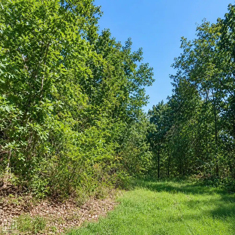 21 Cooper Point, Mountain View, AR 72560 - #2