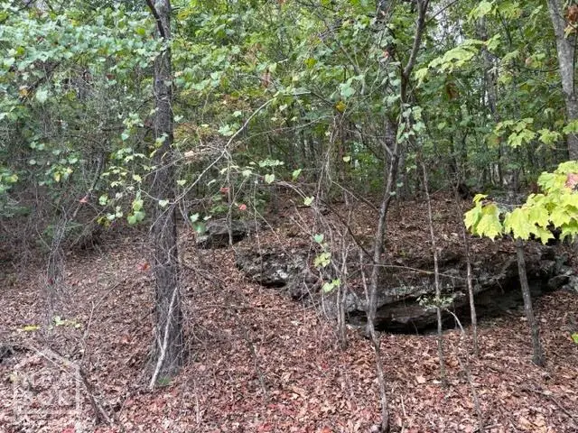 1111 Bob Davis Mountain, Pleasant Grove, AR 72567 - #2