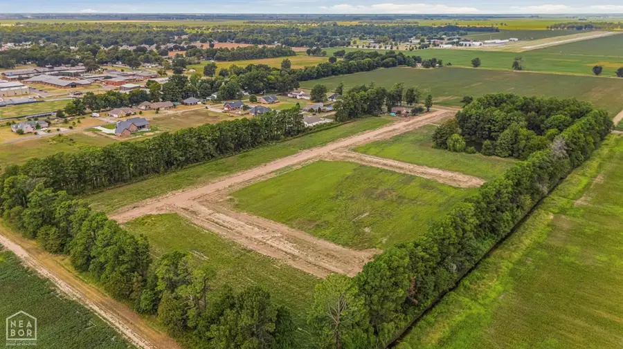 0 Lot #10 Elizabeth Cove, Manila, AR 72442 - #2