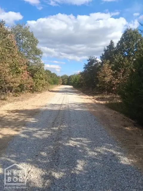 9998 Herron, Ash Flat, AR 72513 - #1