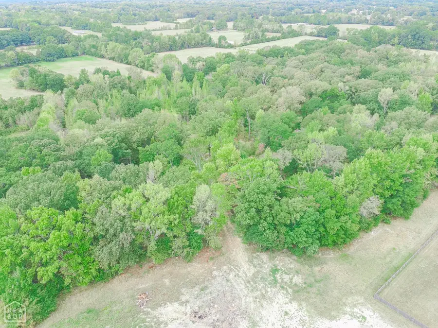 1439 Missile Base Road, Judsonia, AR 72081 - #2