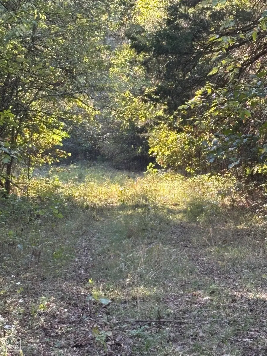 115 Hwy, Smithville, AR 72466 - #3