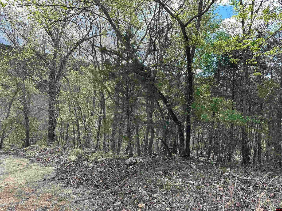 580-00005-016 DOVEWOOD LANE, Flippin, AR 72634 - Image #1