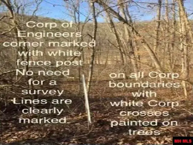 001-08923-000 MC 8040, Yellville, AR 72687 - Image #3