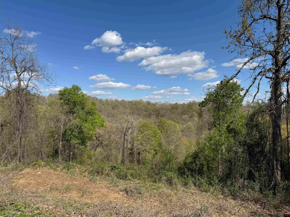 000 HWY 14 SOUTH, Harriet, AR 72639 - Image #1