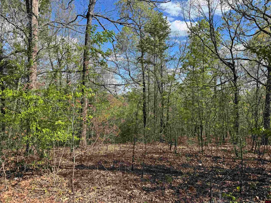 000 HWY 14 SOUTH, Harriet, AR 72639 - Image #2