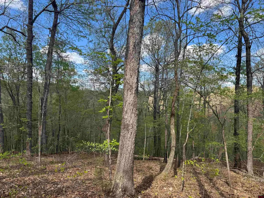 000 HWY 14 SOUTH, Harriet, AR 72639 - Image #3