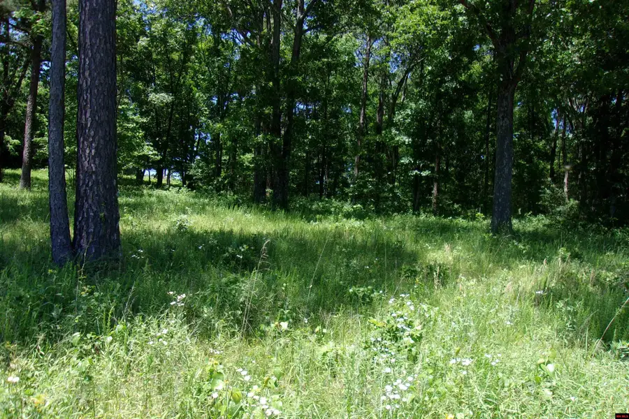 Lot 9 WHITE BLUFFS COURT, Mountain Home, AR 72653 - #2