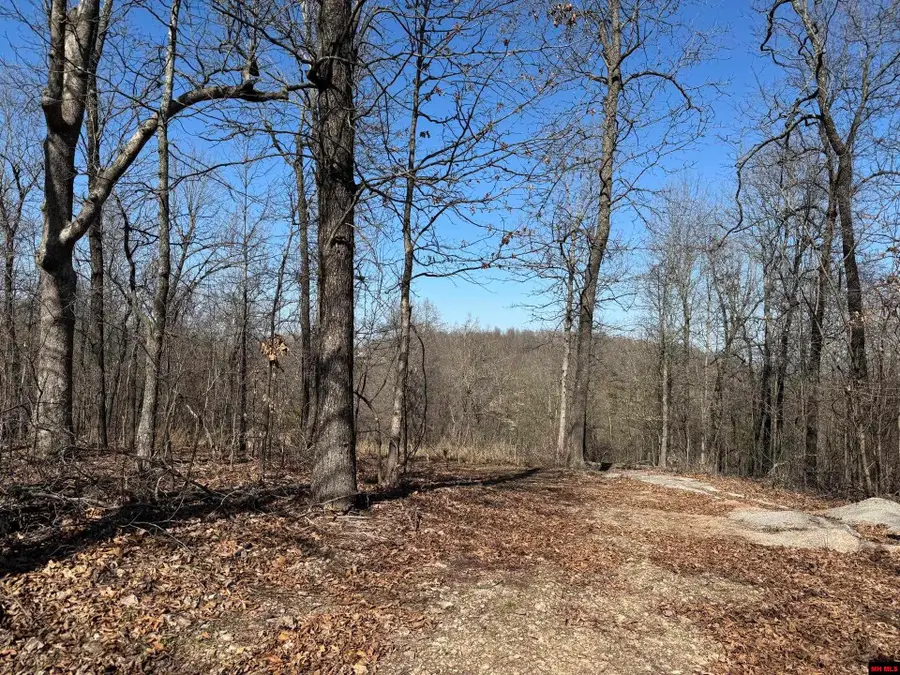 000 BACKWAY ROAD, Yellville, AR 72687 - Image #2