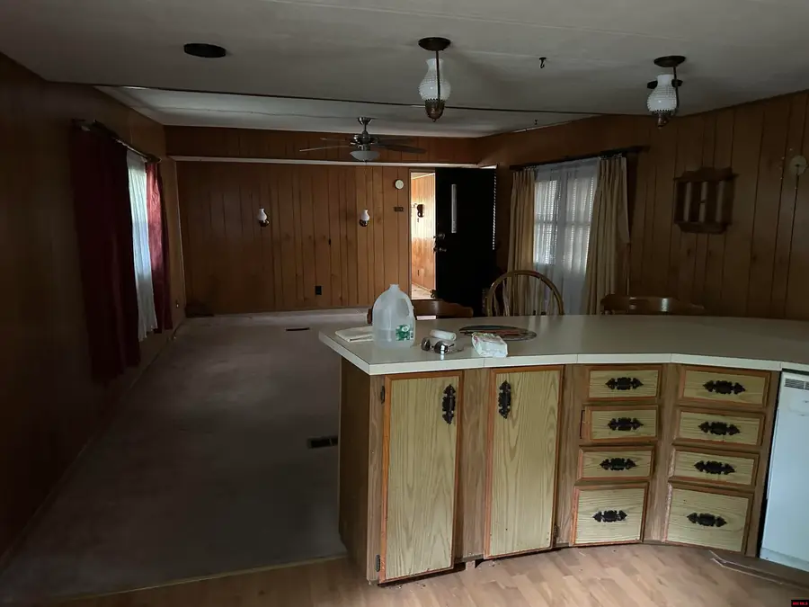 105 HICKORY STREET, Bull Shoals, AR 72619 - #2