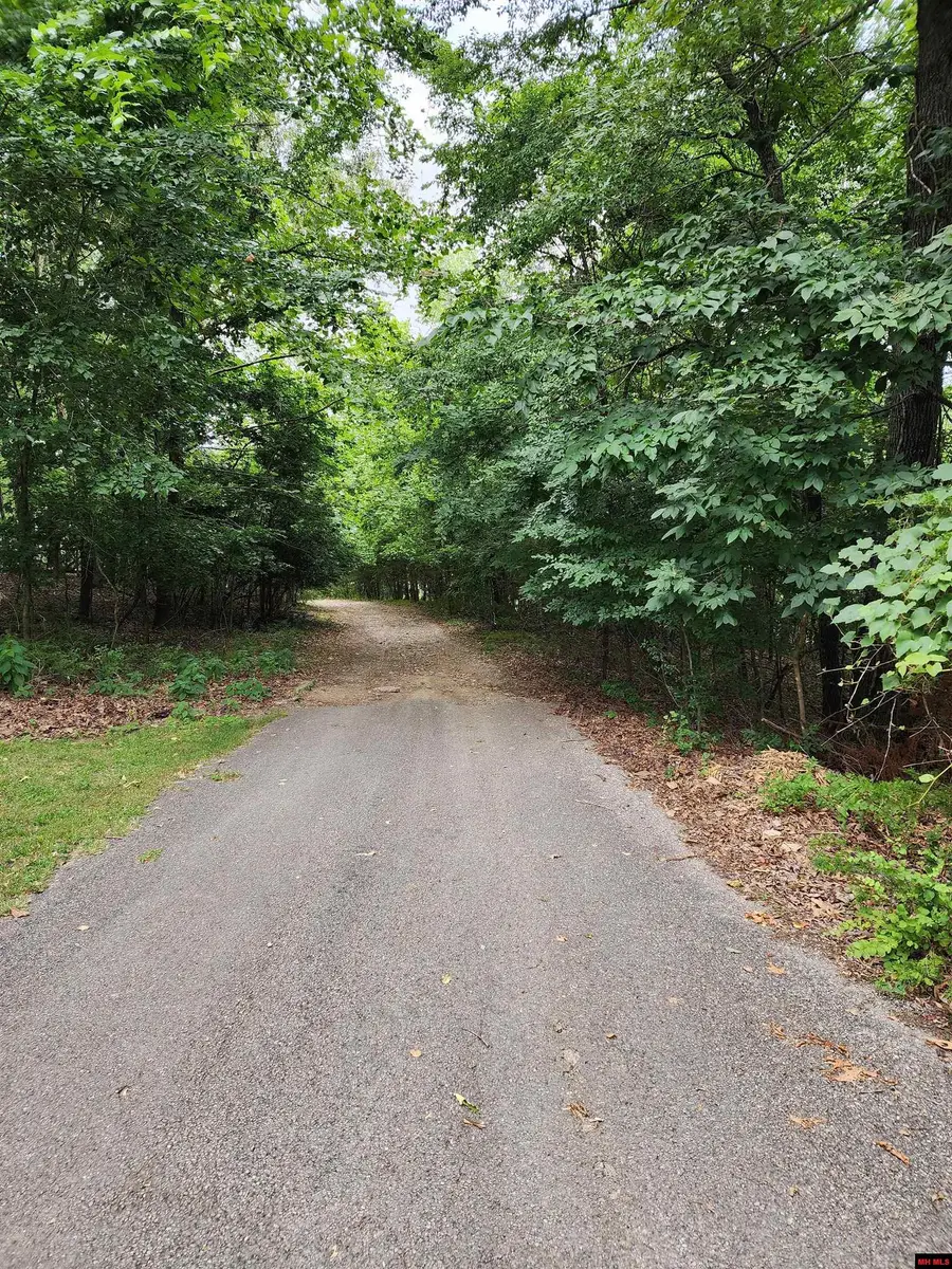 Lot 1 LAKE POINT DRIVE, Flippin, AR 72634 - #2