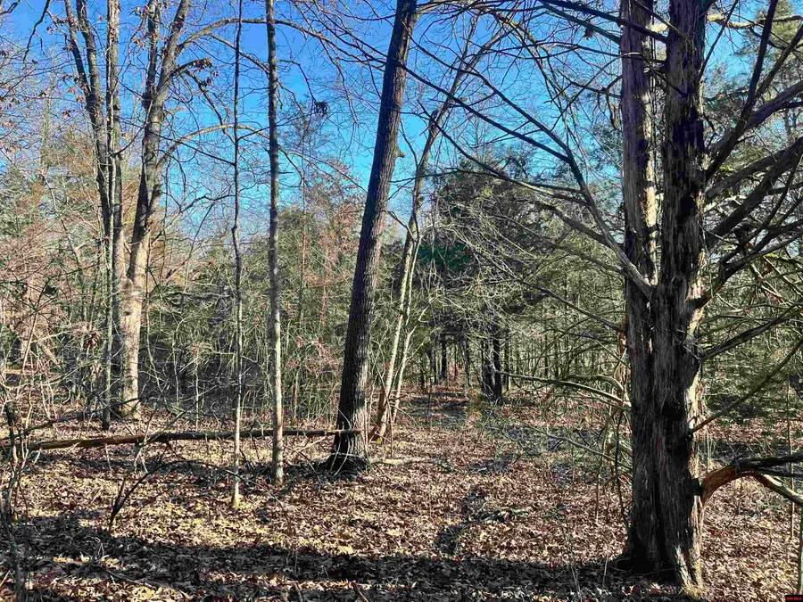 001-06576-000 ROUND ROBIN LANE, Marion County, AR 65761 - Image #3