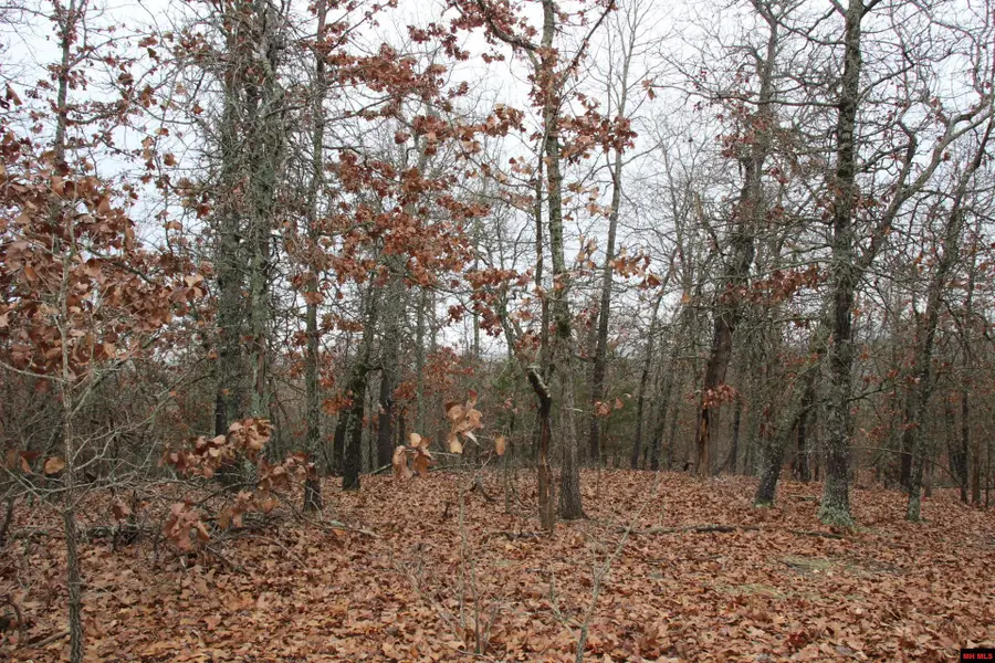 178 ROUND ROBIN LANE, Marion County, AR 72687 - Image #3