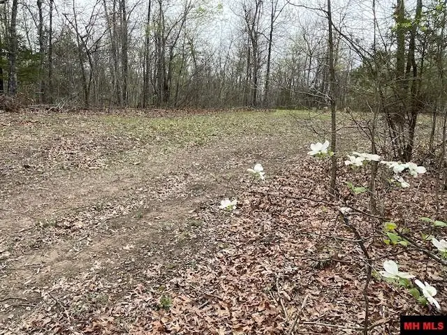 #3