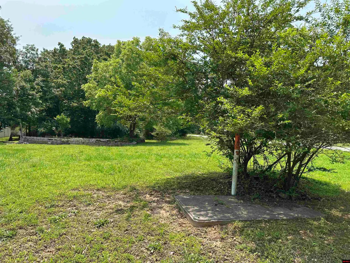 320 HAZELWOOD DRIVE, Diamond City, AR 72630 - #1