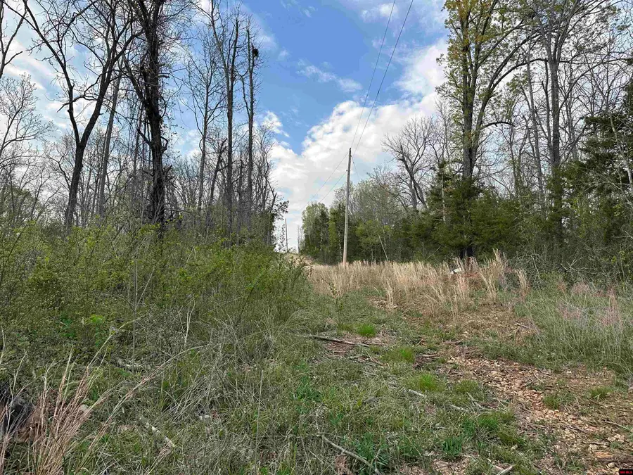 188 OREGON TRAIL, Pyatt, AR 72672 - Image #2