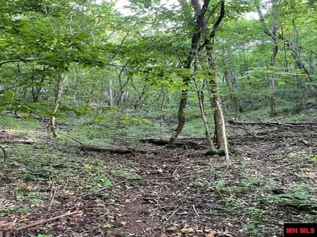 #3