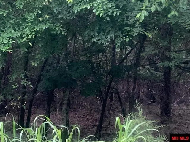 605-00020-000 MC 8020, Yellville, AR 72687 - Image #2