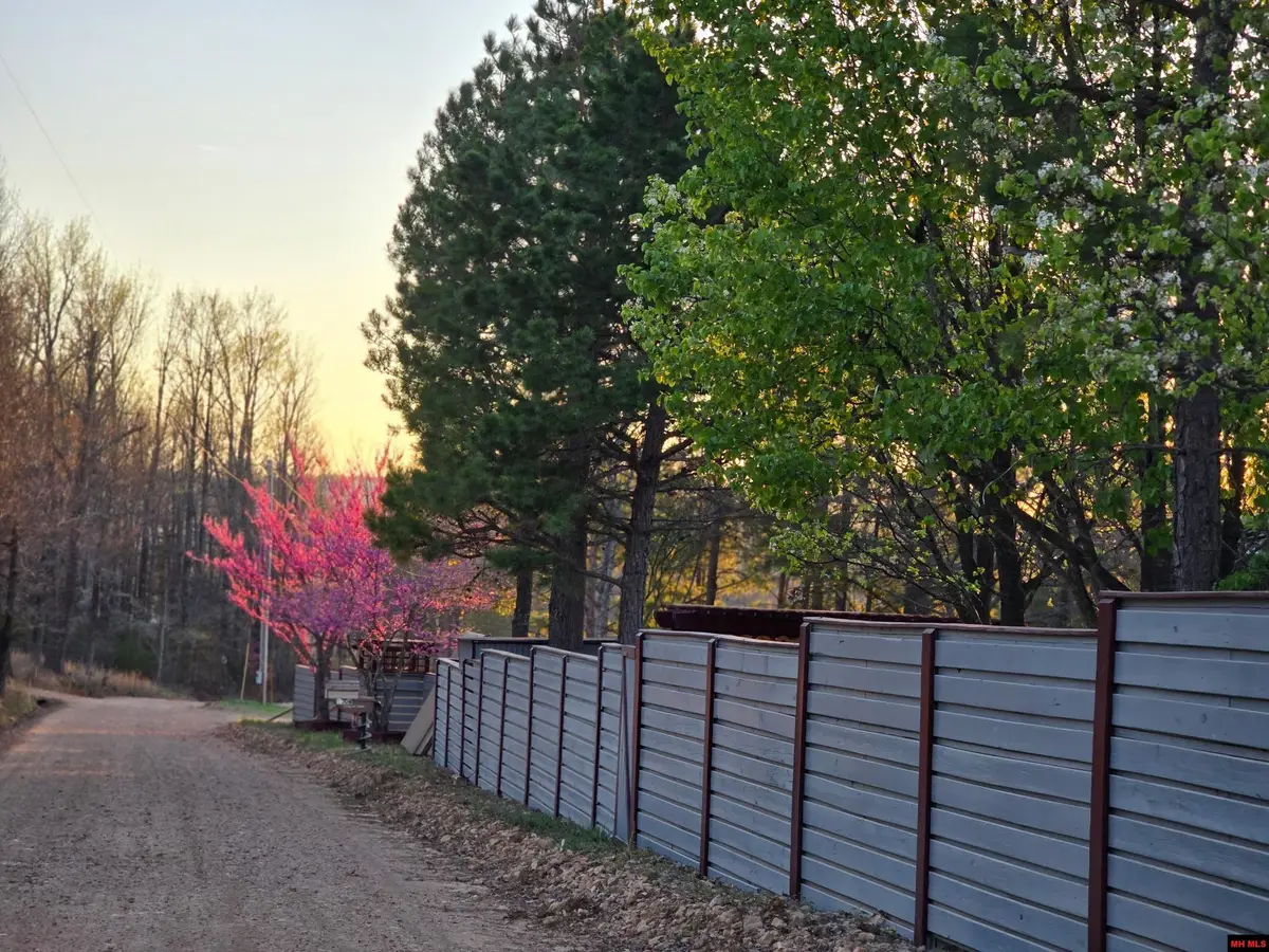 5540 NC 2800, Marble Falls, AR 72648 - Image #1